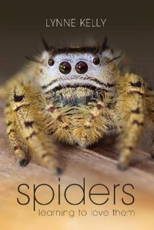 Spiders by Dr Lynne Kelly (Author) - 9781741751796