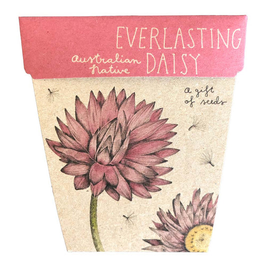 Australian Native Everlasting Daisy Gift Card