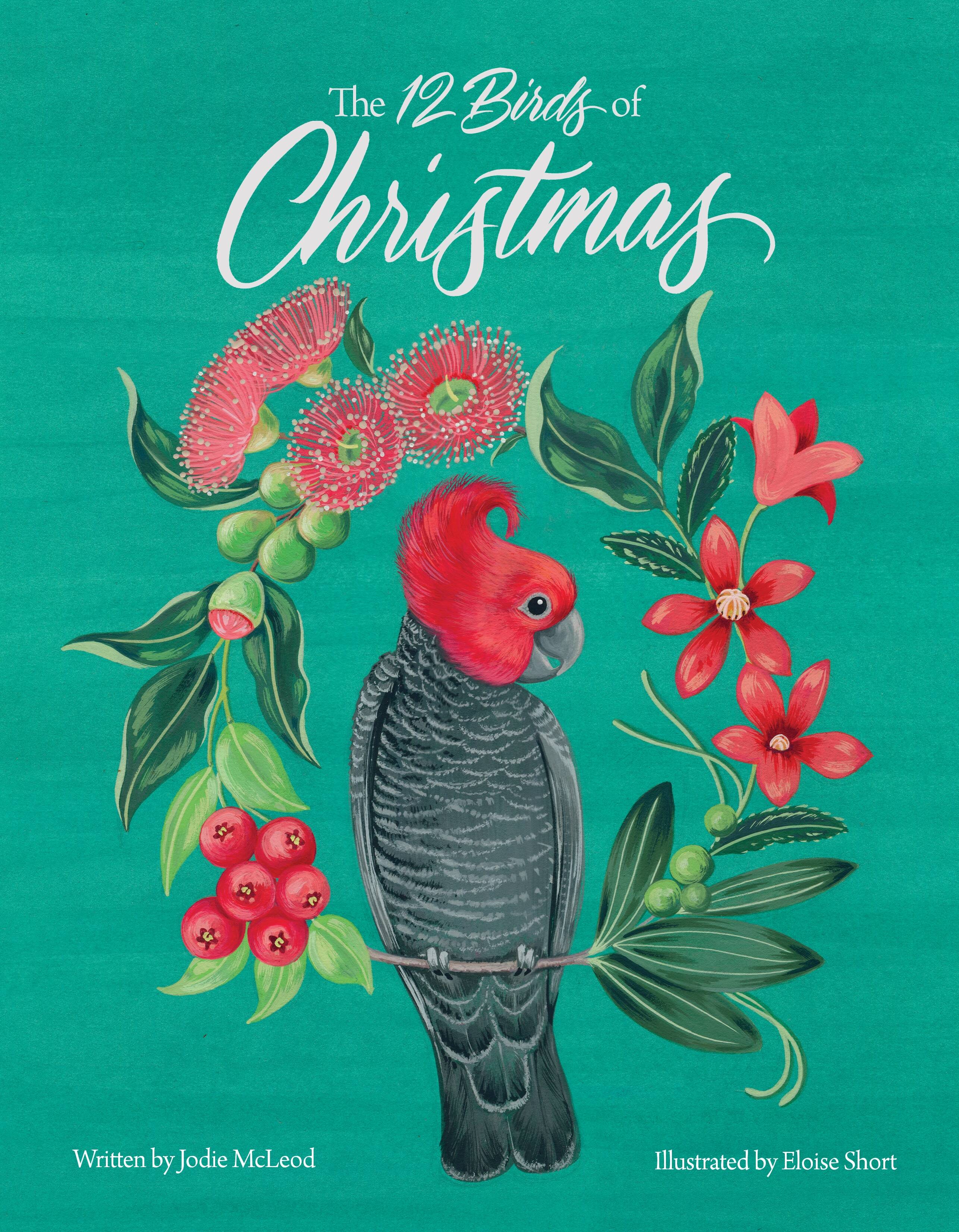 Birds of a Father  “Winter Holiday” The 12 Birds of Christmas by Jodie McLeod | Harry Hartog – Harry