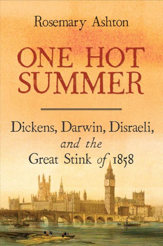 One Hot Summer by Rosemary Ashton - 9780300238662
