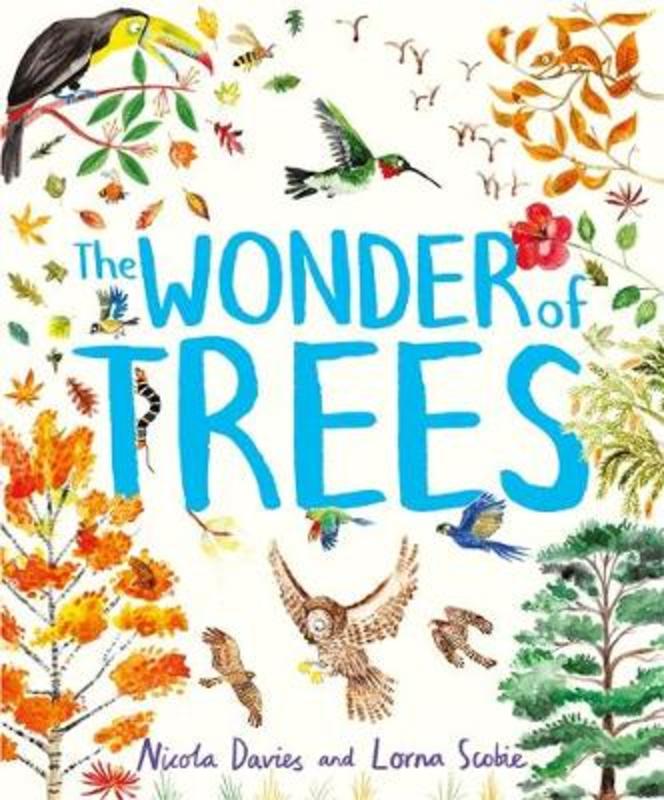 The Wonder of Trees by Nicola Davies - 9781444938197