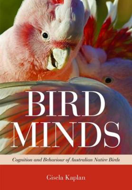 Bird Minds by Gisela Kaplan - 9781486300181