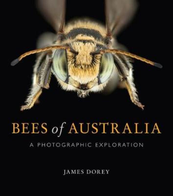 Bees of Australia by Mr James Dorey - 9781486308491