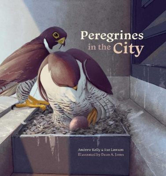Peregrines in the City by Andrew Kelly - 9781742036519