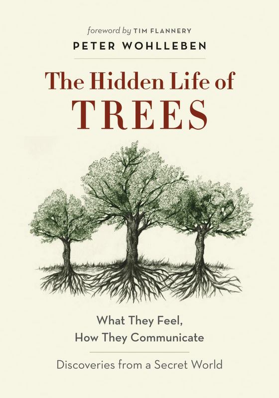 The Hidden Life of Trees by Peter Wohlleben - 9781863958738