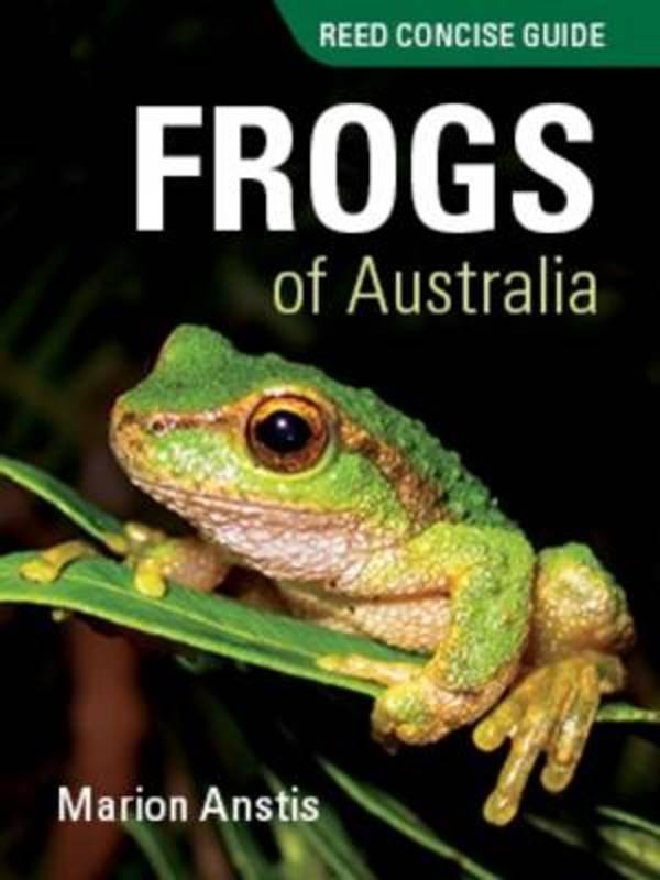 Reed Concise Guide Frogs of Australia by Marion Anstis - 9781921517907