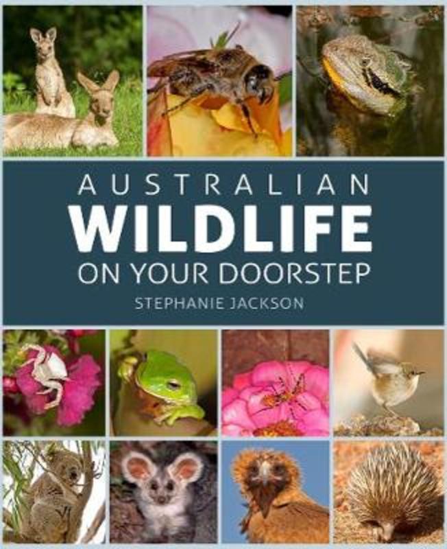 Australian Wildlife on Your Doorstep