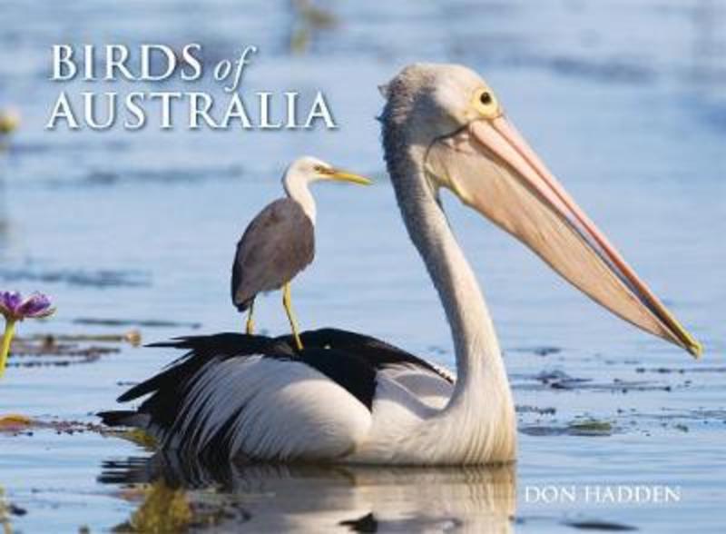 Birds of Australia by Don Hadden - 9781925546477