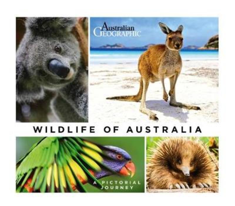 Wildlife of Australia by John Pickrell - 9781925694932