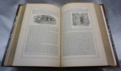 The Three Voyages of Captain Cook, Round the World (Second Edition)