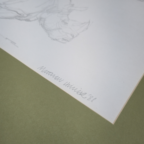 The Rhinoceros: A Monograph (Special Limited Edition)
