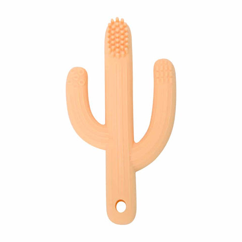 Cactus Silicone Teether | Assorted Colours