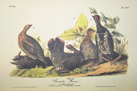 Birds of America (Easton Press Limited Deluxe Edition)