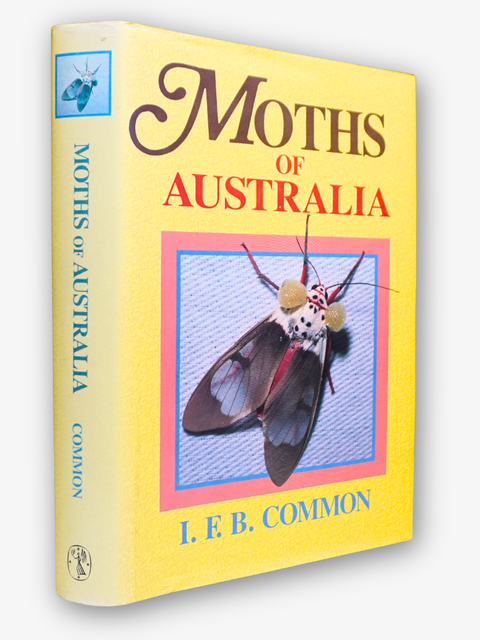 Moths of Australia (First Edition)