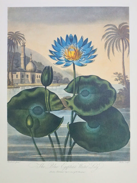 The Temple of Flora (Folio Society Limited Edition)