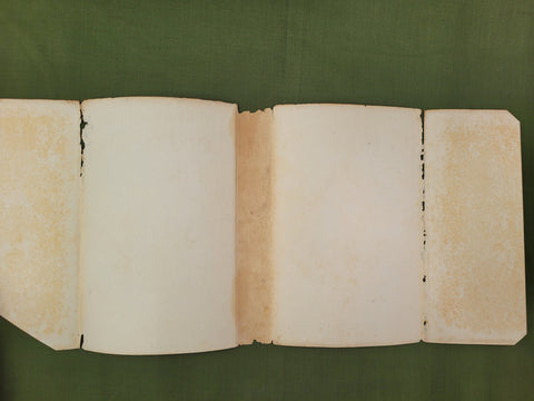 Lord of the Flies (First Edition)