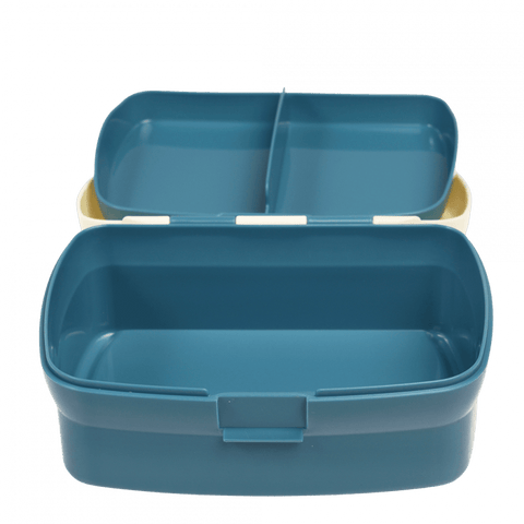 Fairies In The Garden Lunch Box With Tray