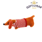 Mini Sausage Dog in a Box