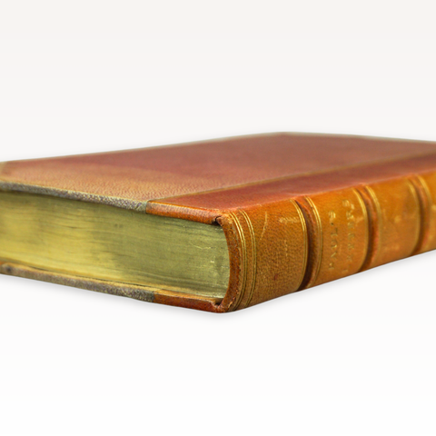 Paul's Letters to his Kinsfolk (Second Edition)