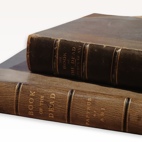 The Book of the Dead. The Papyrus of Ani, in the British Museum (Main and Plate Volumes, First Edition)