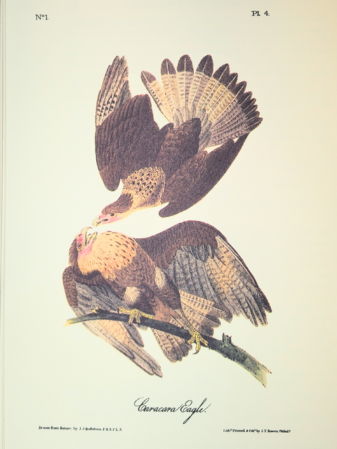 Birds of America (Easton Press Limited Deluxe Edition)