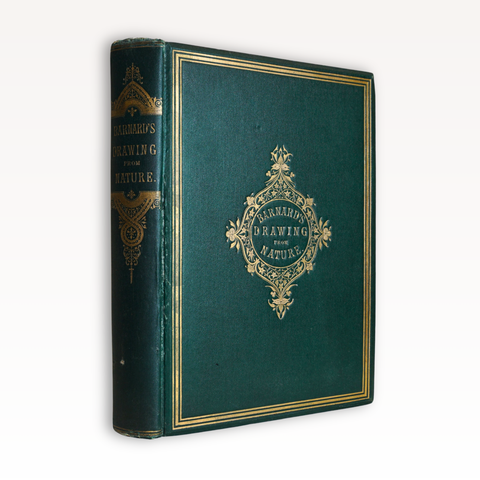Drawing from Nature (First Edition)