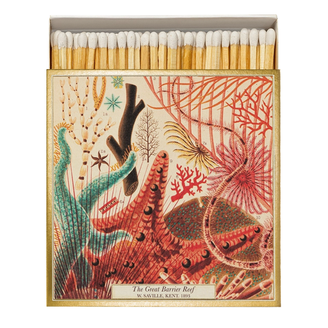 Great Barrier Reef Matches