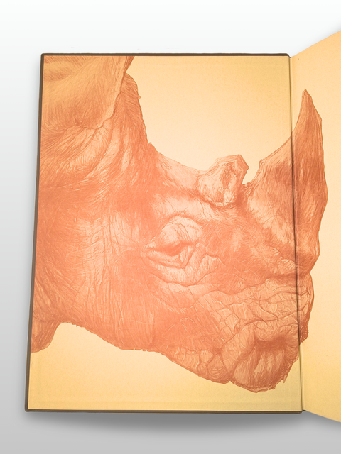 The Rhinoceros: A Monograph (Special Limited Edition)