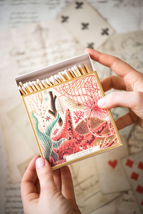 Great Barrier Reef Matches