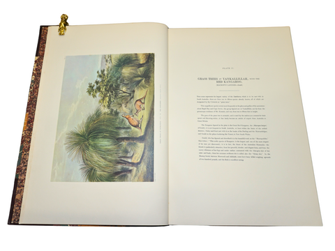 South Australia Illustrated (Limited Facsimile of First Edition, Signed)