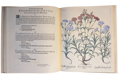 Hortus Eystettensis, 4 volumes (Limited Facsimile Edition)