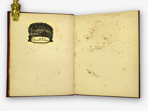 Outline Sketches in the High Alps of Dauphiné (First Edition)