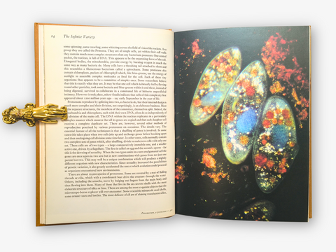 Life on Earth: A Natural History (Inscribed by Author)