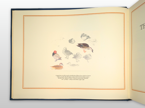 The Wildfowl Paintings of Henry Jones (Limited First Edition, Signed)
