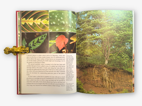 The Private Life of Plants (Inscribed by Author)