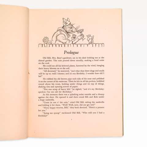 Prince Dande Lion: A Garden Whim-Wham (First Edition)