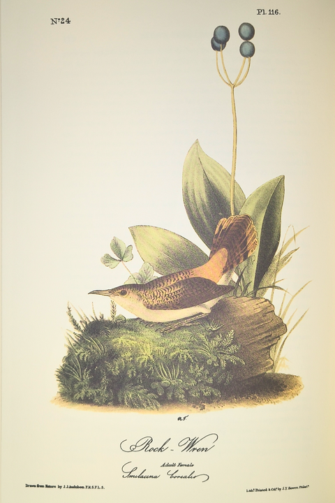 Birds of America (Easton Press Limited Deluxe Edition)
