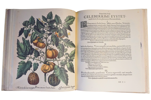Hortus Eystettensis, 4 volumes (Limited Facsimile Edition)