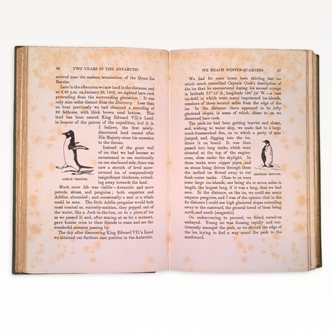 Two Years in the Antarctic (First Edition)