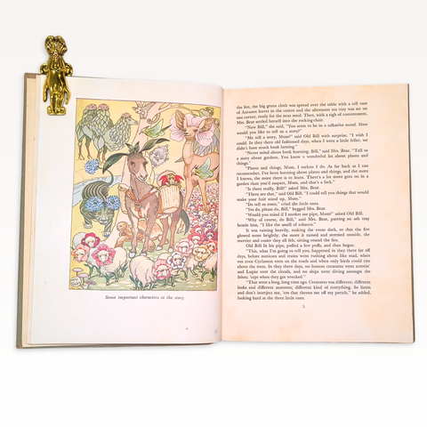 Prince Dande Lion: A Garden Whim-Wham (First Edition)