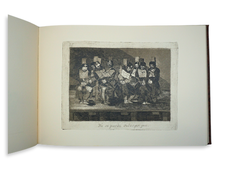 Disasters of War (Folio Society Limited Edition)
