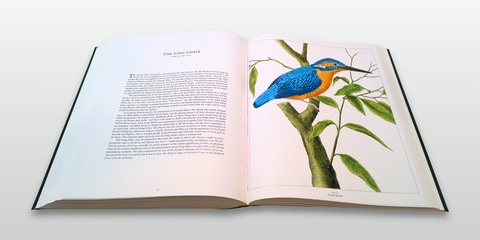 All the World's Birds: Buffon's Illustrated Natural History, General and Particular, of Birds (Fourth Edition, First Printing)