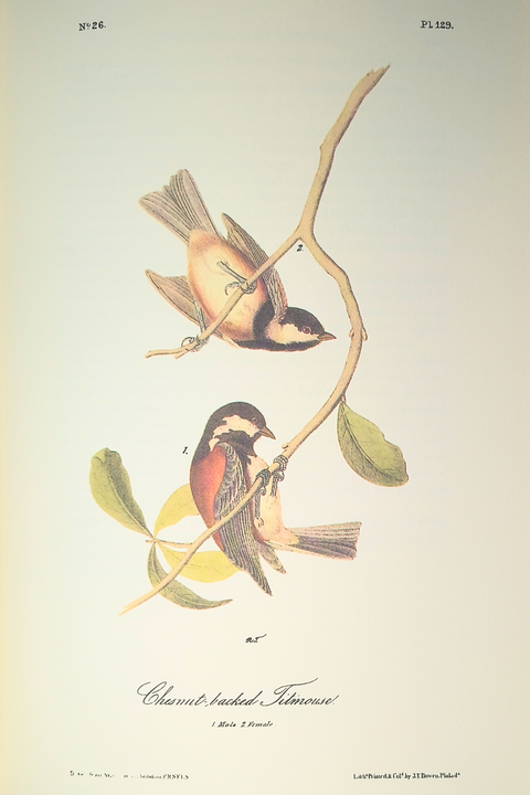 Birds of America (Easton Press Limited Deluxe Edition)