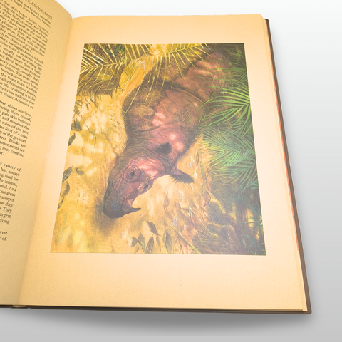 The Rhinoceros: A Monograph (Special Limited Edition)