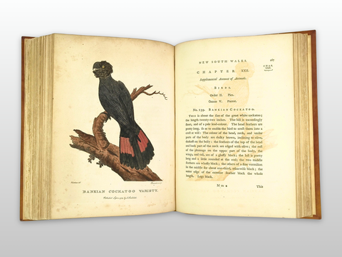 The Voyage of Governor Philip to Botany Bay (First Trade Edition)