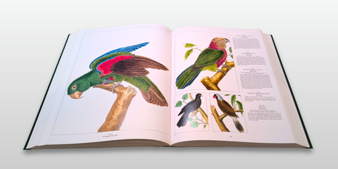 All the World's Birds: Buffon's Illustrated Natural History, General and Particular, of Birds (Fourth Edition, First Printing)