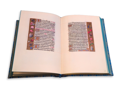 The Fitzwilliam Book of Hours (Folio Society Limited Edition)