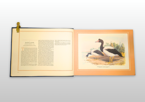 The Wildfowl Paintings of Henry Jones (Limited First Edition, Signed)