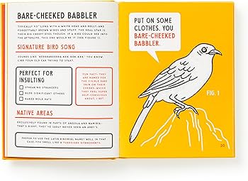 An Illustrated Guide to Birds that Sound Like Insults