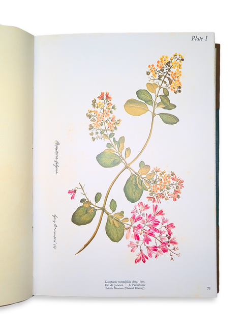 The Journal of H.M.S. Endeavour, 1768–1771 (Limited Deluxe Edition)